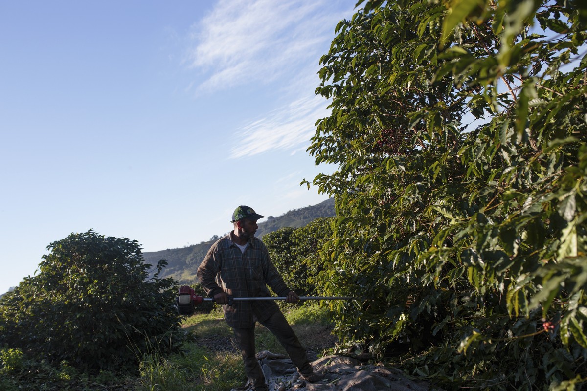 Estados exportadores para os EUA criam pacotes próprios para enfrentar tarifas altas