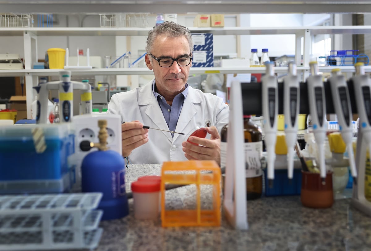 Gen responsável por superbactérias se espalha em hospitais e granjas brasileiras