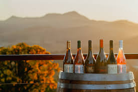 Exportação de vinhos italianos para o Brasil cresce 14% no início de 2025