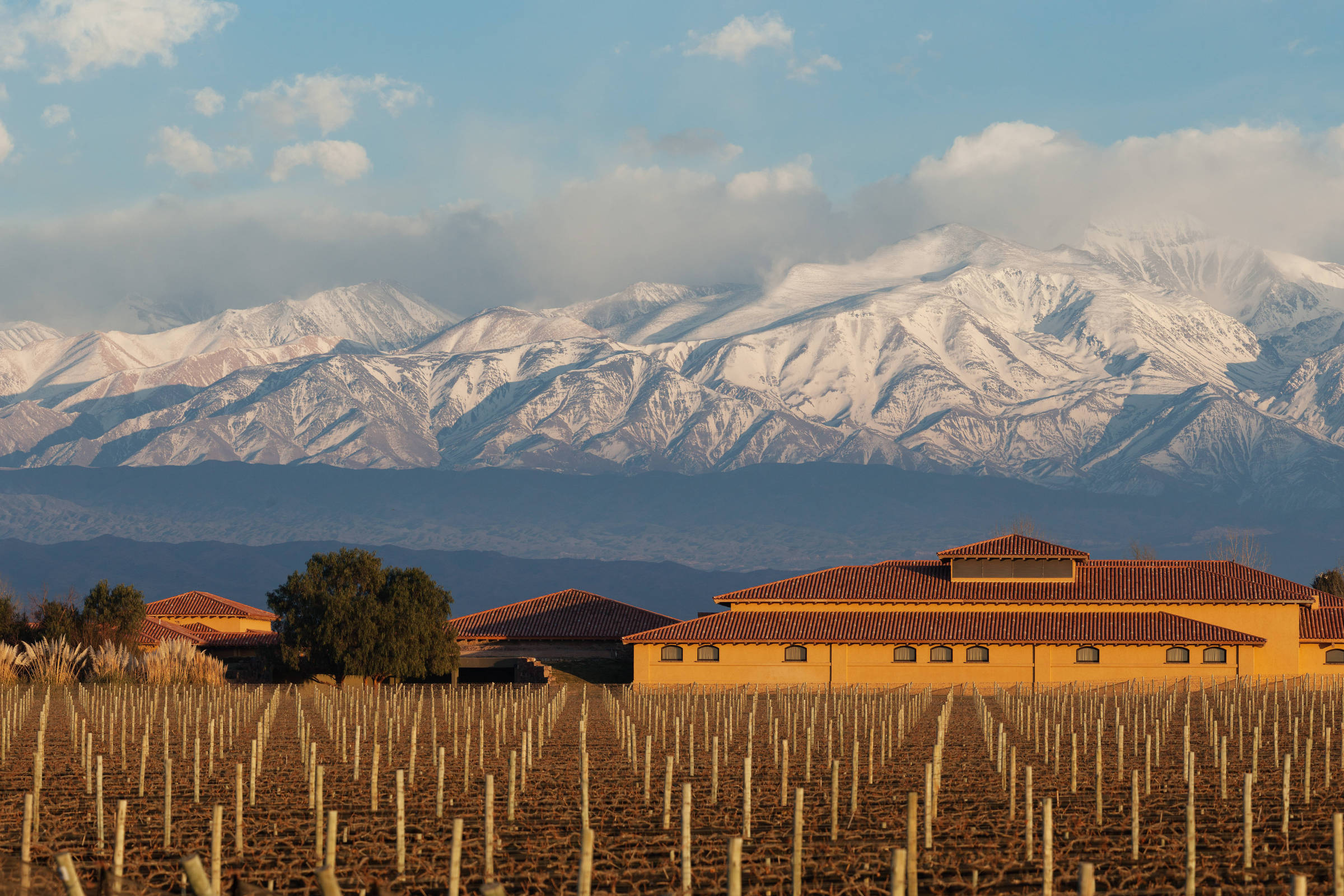 Mendoza encanta com paisagens deslumbrantes e vinhos de qualidade perto de SP