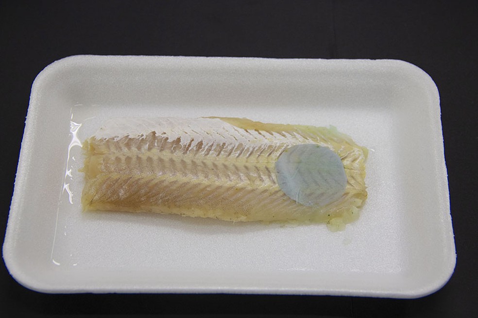 Embalagem inteligente muda de cor para avisar que o peixe estragou (Foto: Divulgação / Embrapa)
