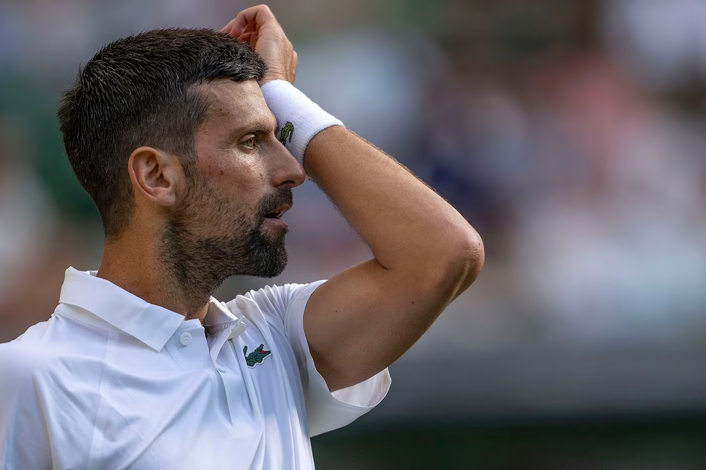 Djokovic se retira de Cincinnati e se prepara para o US Open sem competições prévias