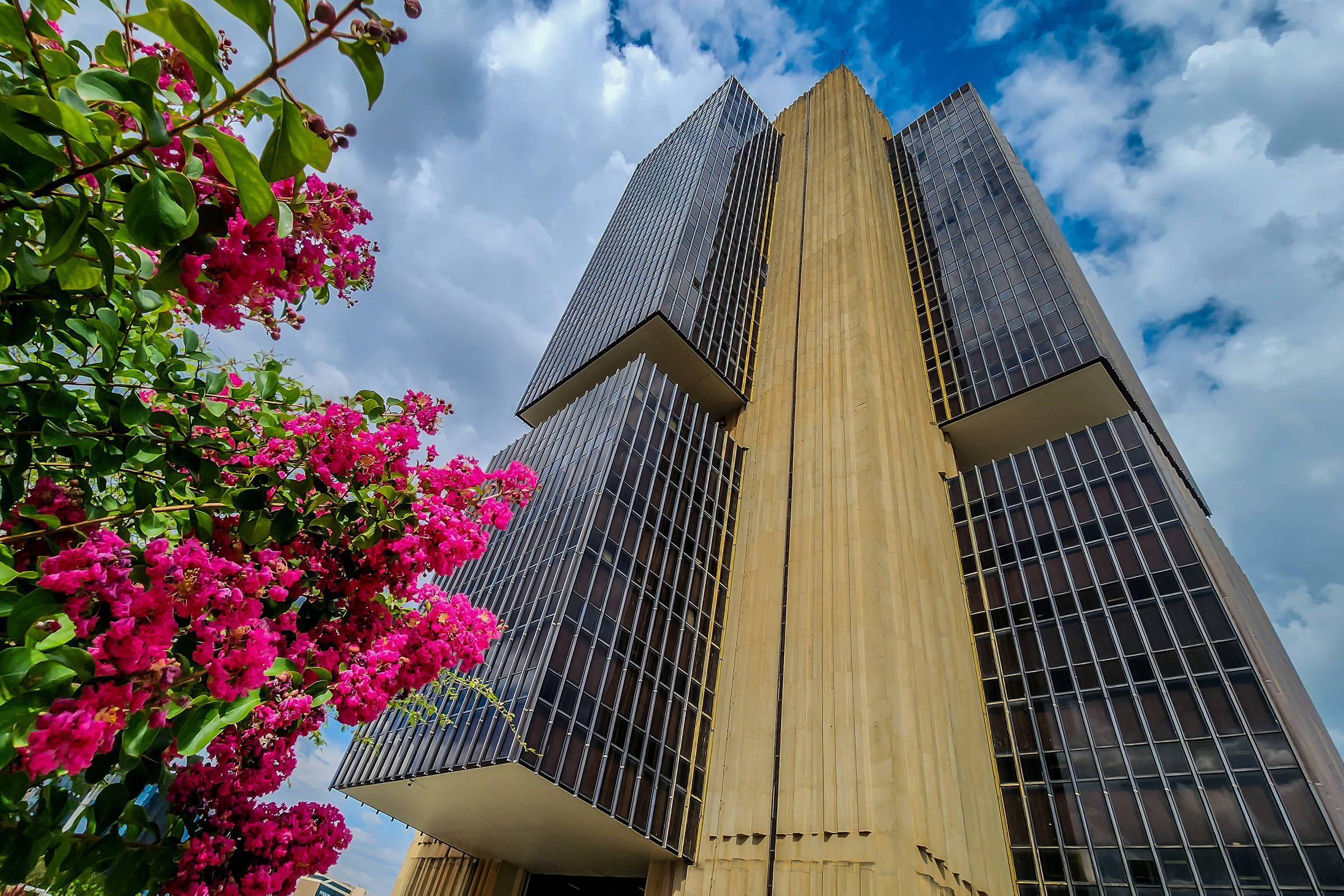 Economia se mantém robusta mesmo diante da alta dos juros