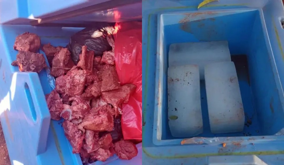 Trabalhadores são presos na Bolívia por trocarem vacinas contra sarampo por carne