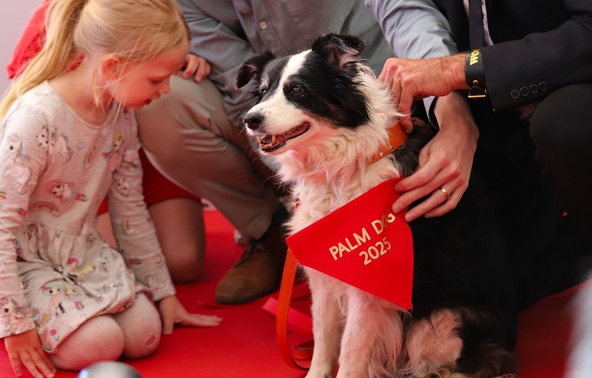 Pastor islandês é premiado com Palma Canina no Festival de Cannes