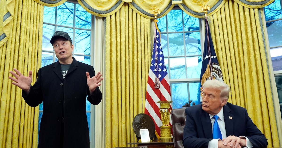 Trump elogia Elon Musk e destaca contribuições do CEO da Tesla ao governo dos EUA