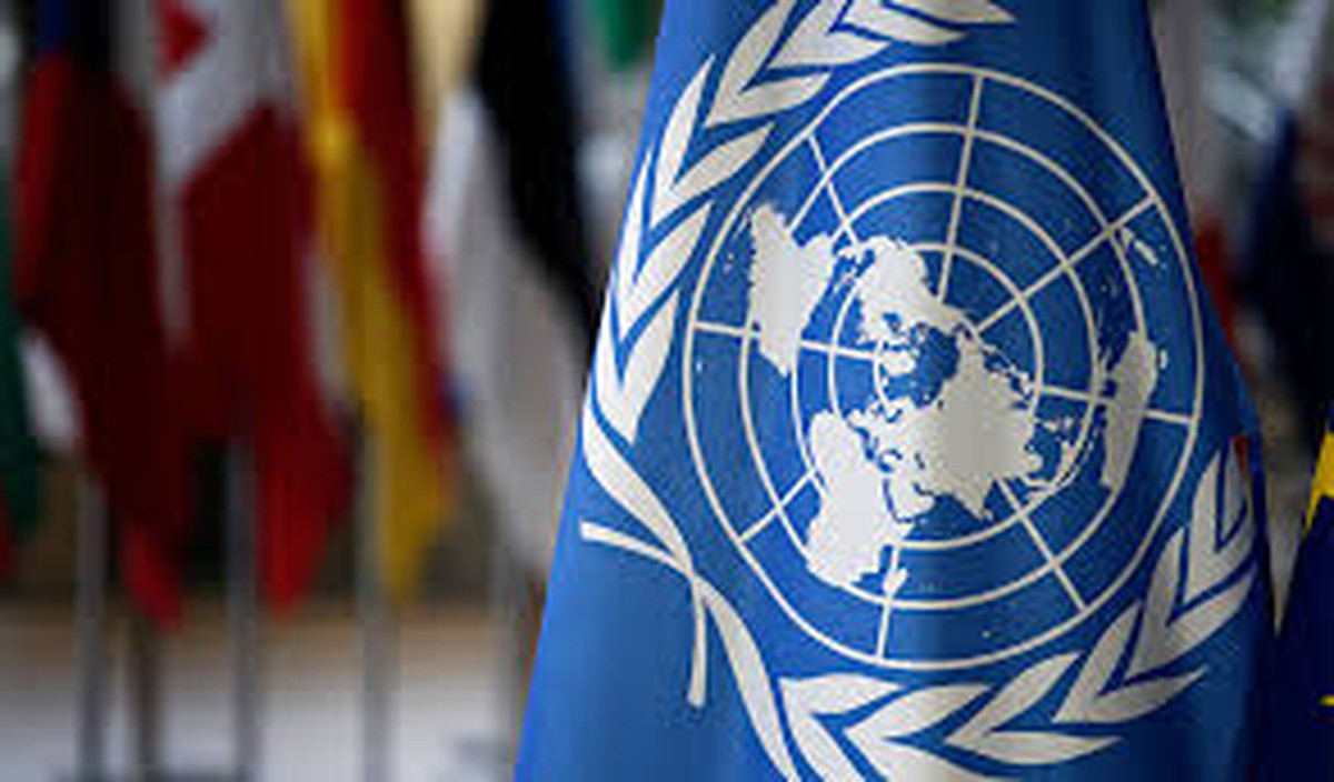 ONU solicita que Brasil reconsidere PL do Licenciamento antes da sanção de Lula