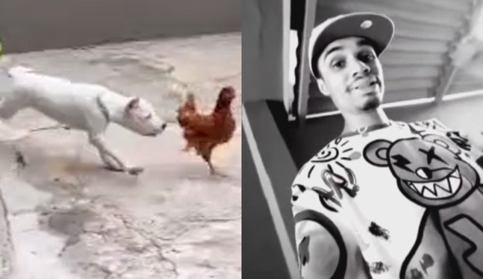 Influenciador é indiciado por alimentar cães com galinhas vivas em vídeo polêmico