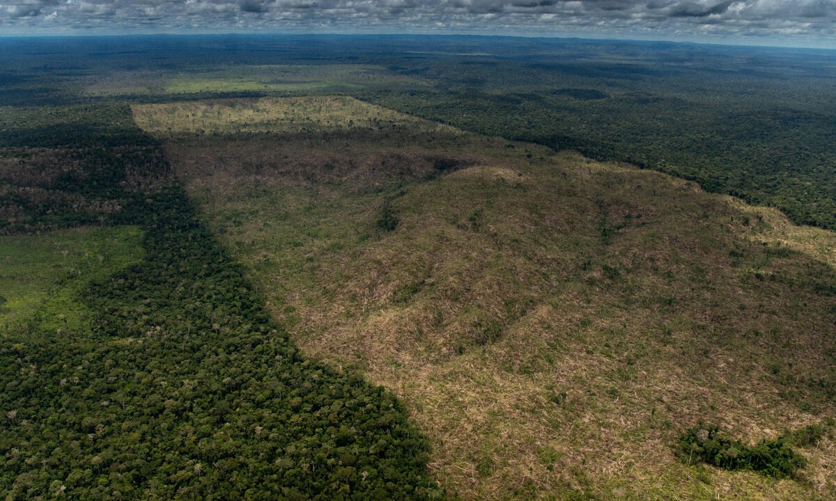 Lula deve vetar integralmente o PL da Devastação para proteger o meio ambiente