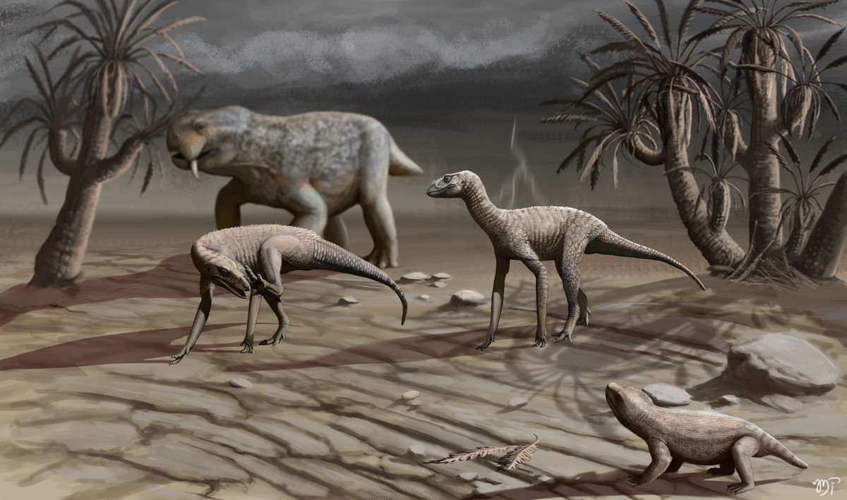 Paleontólogos revelam nova espécie de dinossauro no Rio Grande do Sul após reanálise de fóssil