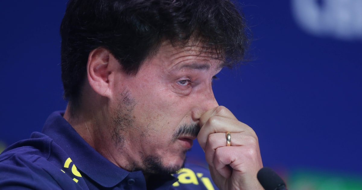 Fernando Diniz é o novo técnico do Vasco (Foto: Daniel Ramalho/AFP)