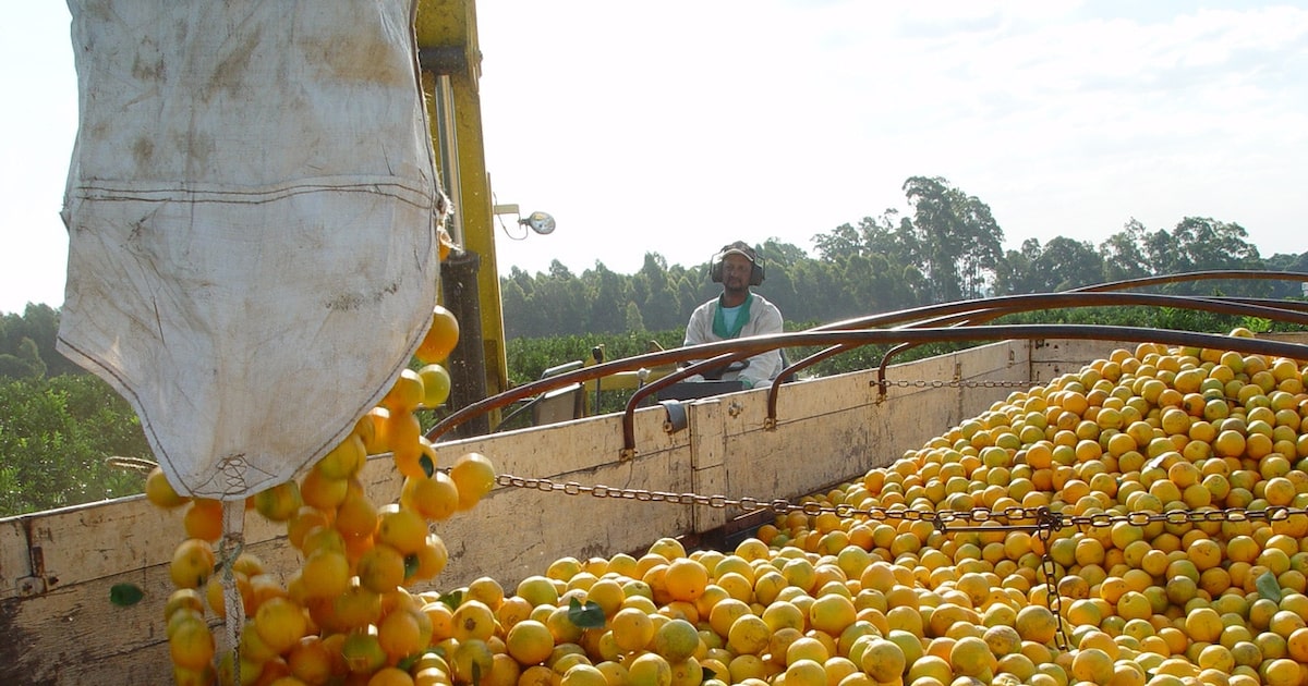 CNA projeta perda de US$ 5,8 bilhões em exportações do agronegócio para os EUA