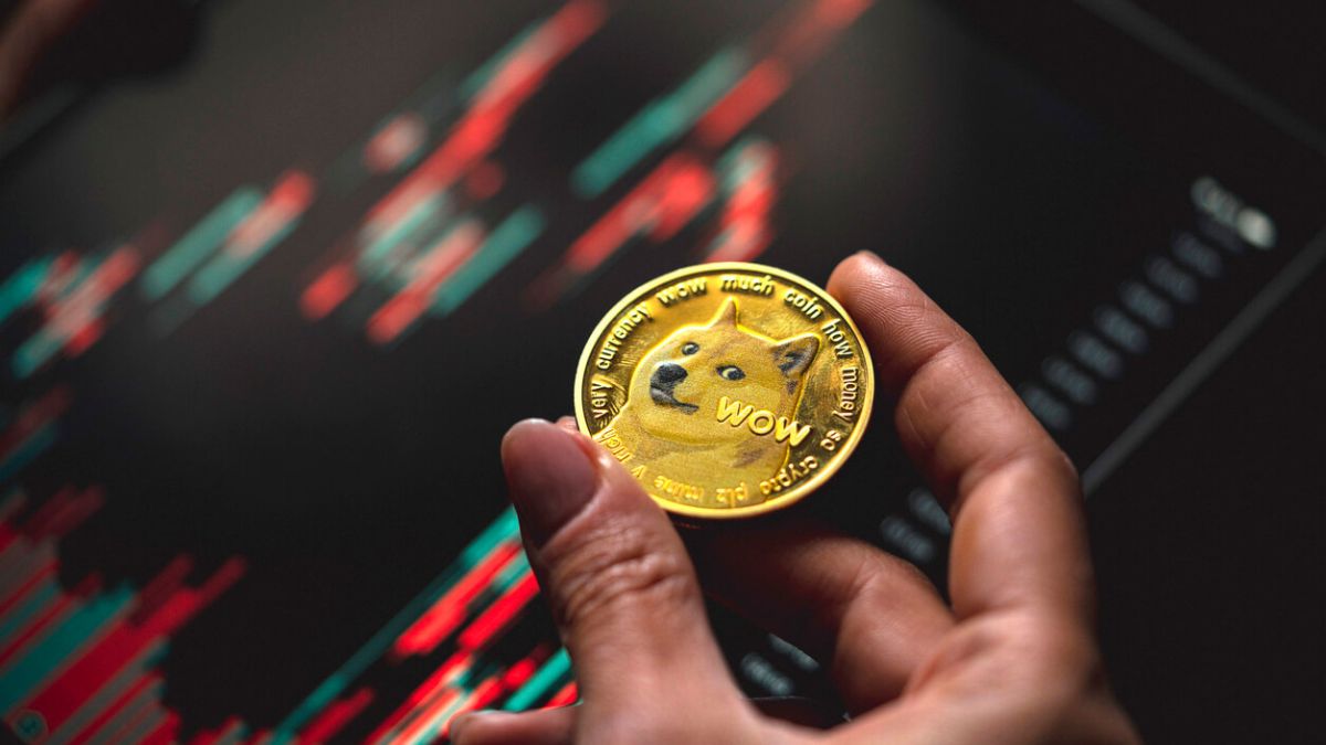 Empiricus lança Memebot, sistema automatizado para investir em memecoins