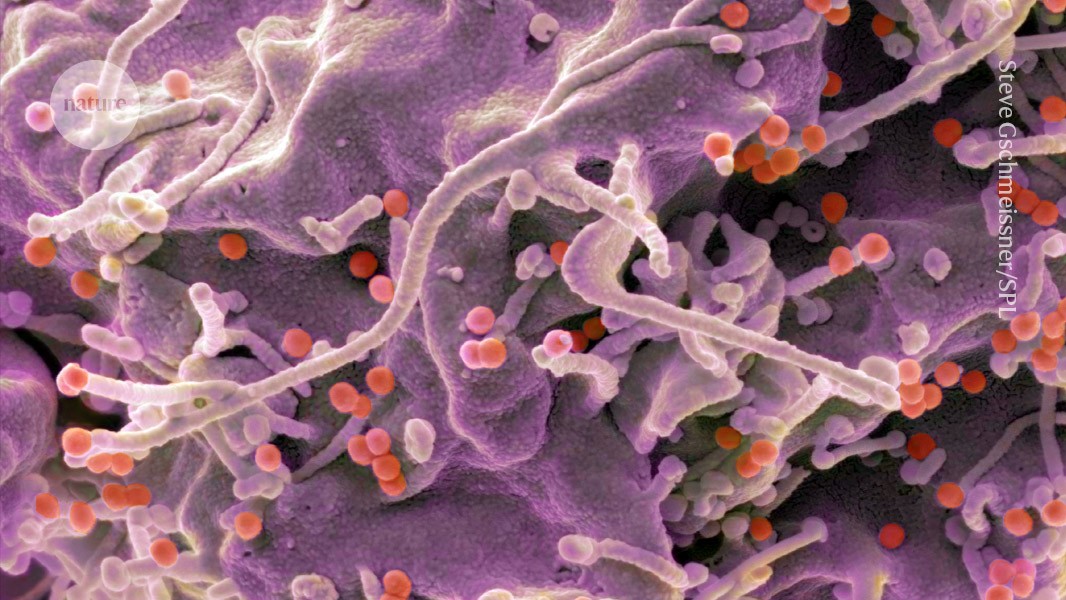 Vacinas de mRNA contra HIV geram forte resposta imunológica em humanos