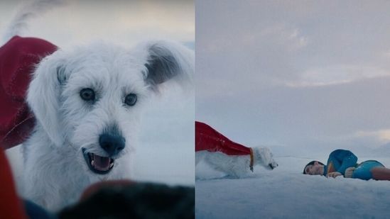 Krypto na prévia de Superman (Foto: Reprodução)