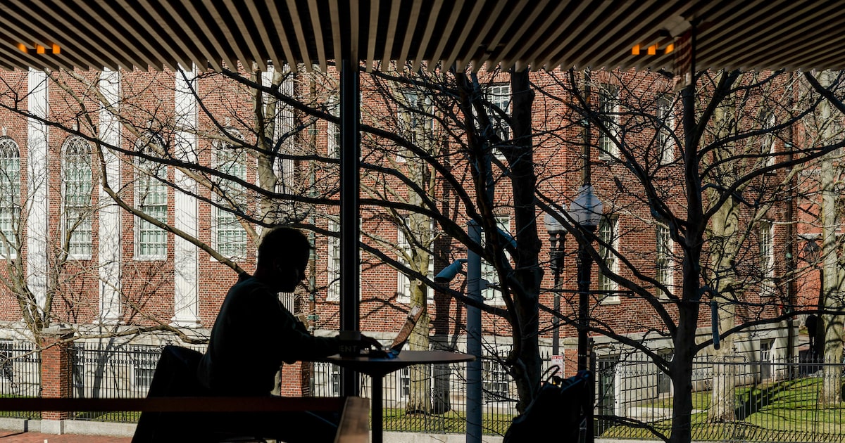 Universidade de Harvard entrou na mira após se negar a cumprir exigências do governo Donald Trump. (Foto: Sophie Park/The New York Times)