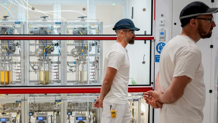 Analistas defendem Eli Lilly, mas investidores permanecem céticos sobre ações