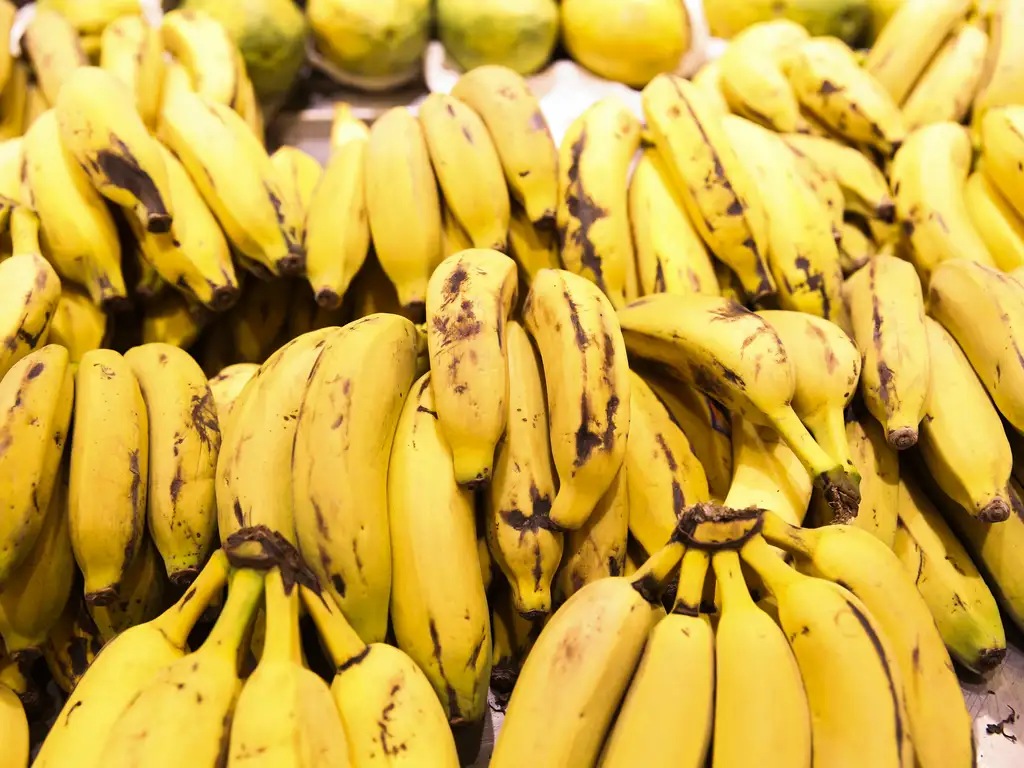 Aplicativo brasileiro revoluciona o mercado ao identificar a maturação de bananas