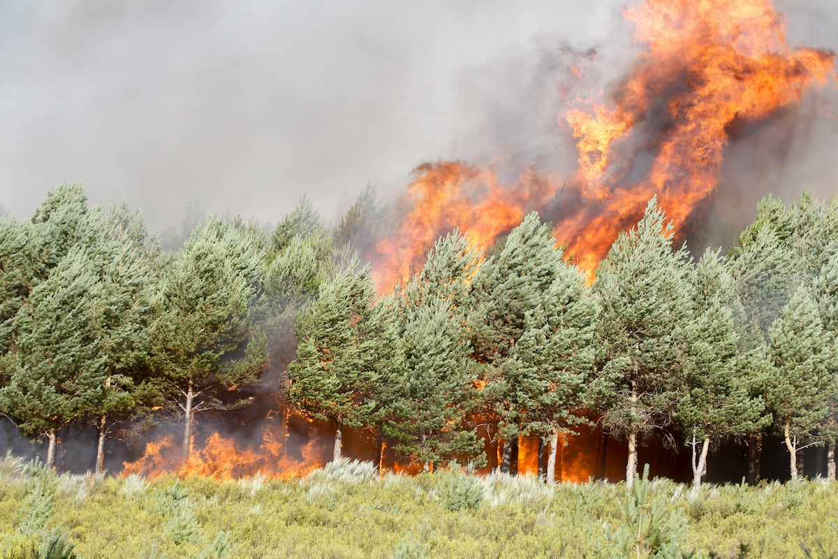 Fogo descontrolado entre Zamora e Ourense força evacuação de 1.700 pessoas