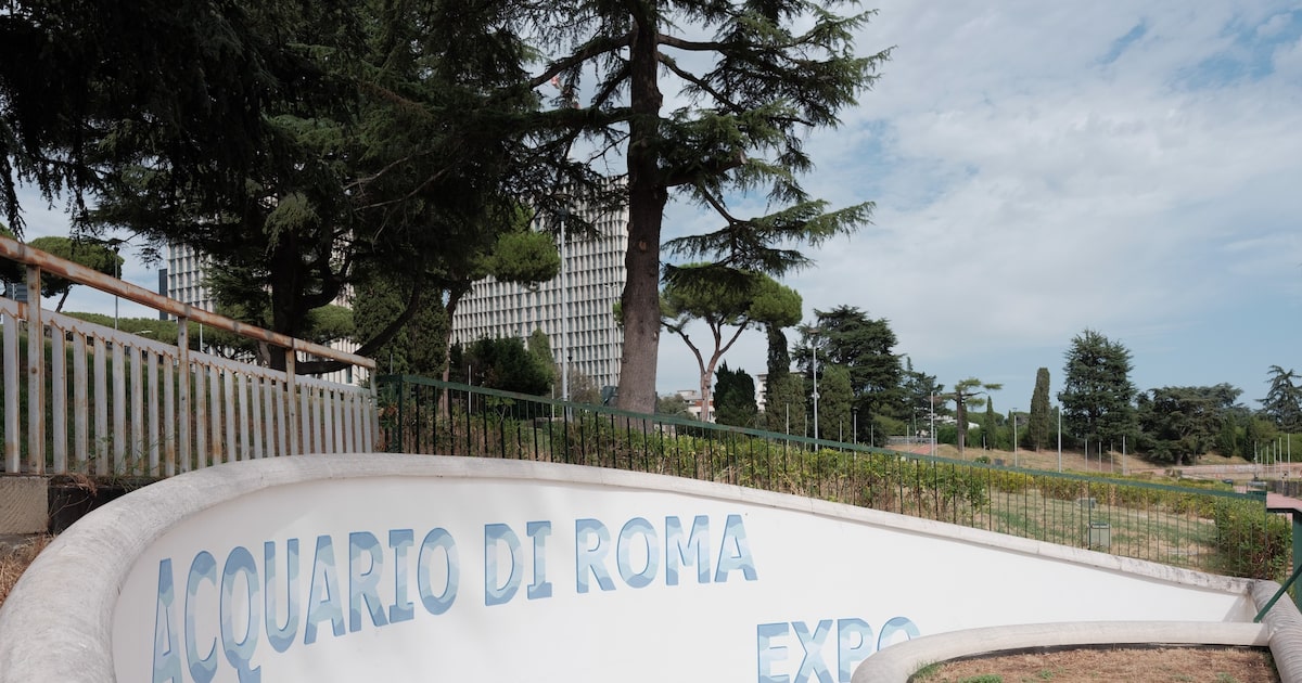 Aquário de Roma enfrenta risco de falência antes da inauguração com investimento de € 100 milhões