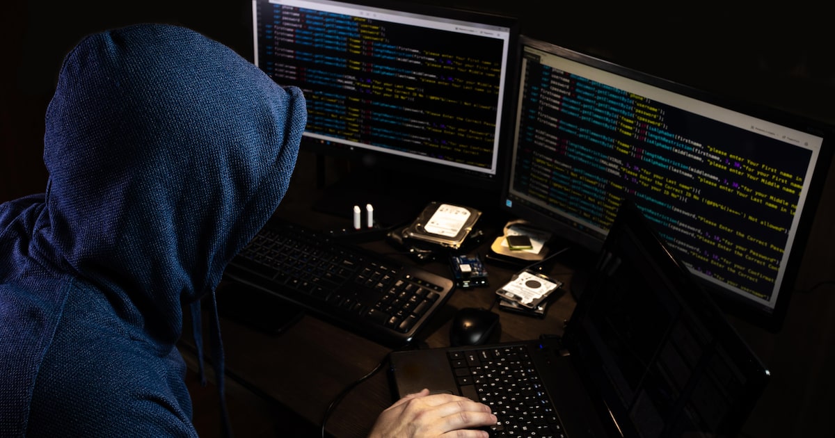 Cibercriminosos revendem particularidades técnicas do ransomware em troca de uma porcentagem do resgate (Foto: Adobe Stock/Roman - stock.adobe.com)