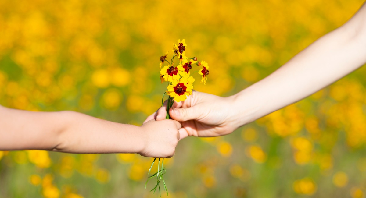 Flores como presente: descubra a origem e os significados dessa tradição cultural
