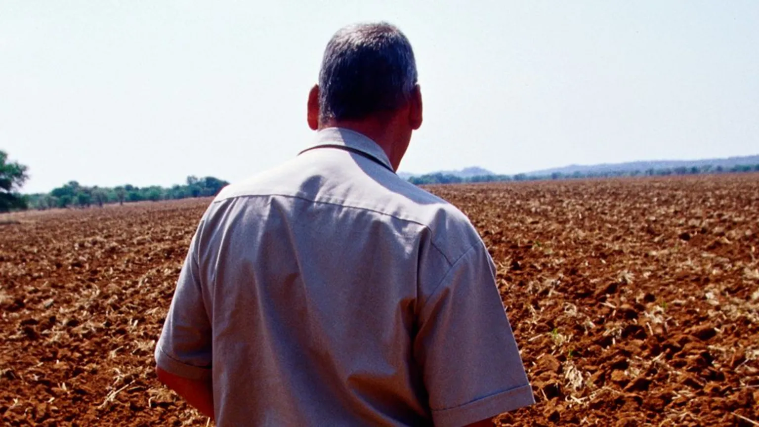 Zimbabwe ainda debate a questão da terra 25 anos após a saída de fazendeiros brancos