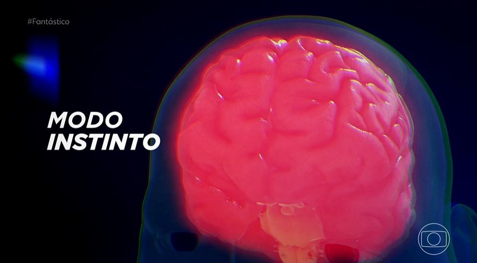 Como o corpo reage à violência urbana — e que atitudes aumentam ainda mais o risco (Foto: Reprodução/Fantástico)