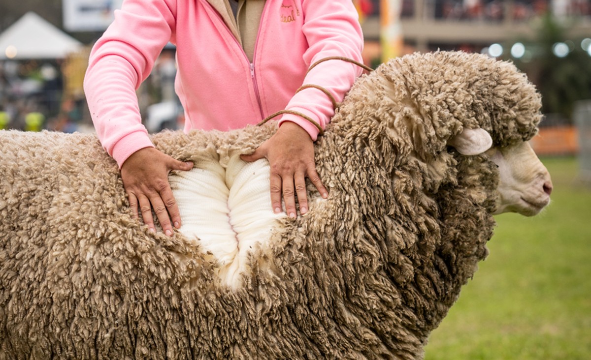 Bactérias influenciam tendências e cuidados na moda sustentável