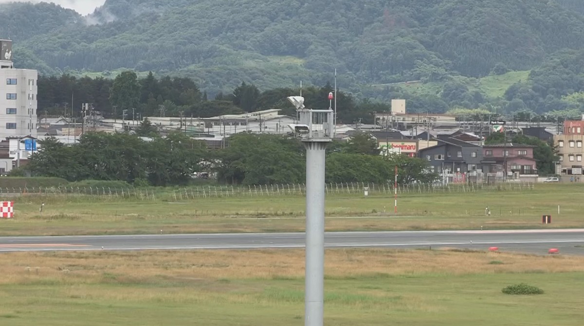 Aeroporto japonês fecha e cancela voos após urso invadir pista de decolagem