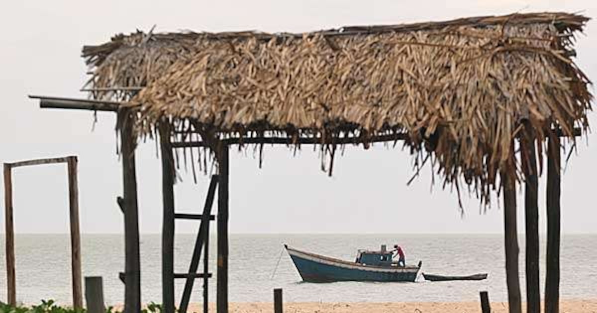 Setor de pescados alerta que tarifas de Trump podem ameaçar 25 mil empregos
