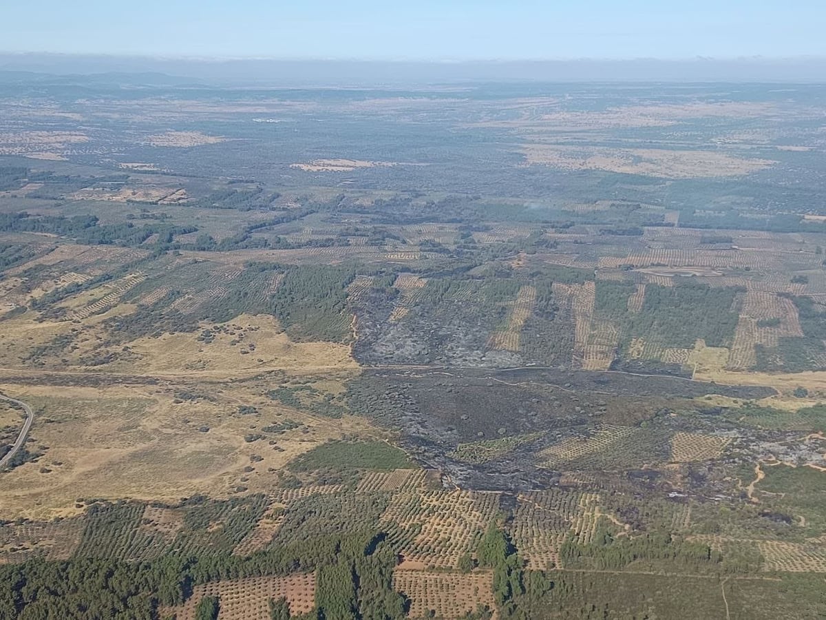 Espanha enfrenta alto risco de incêndios enquanto combate chamas em várias regiões