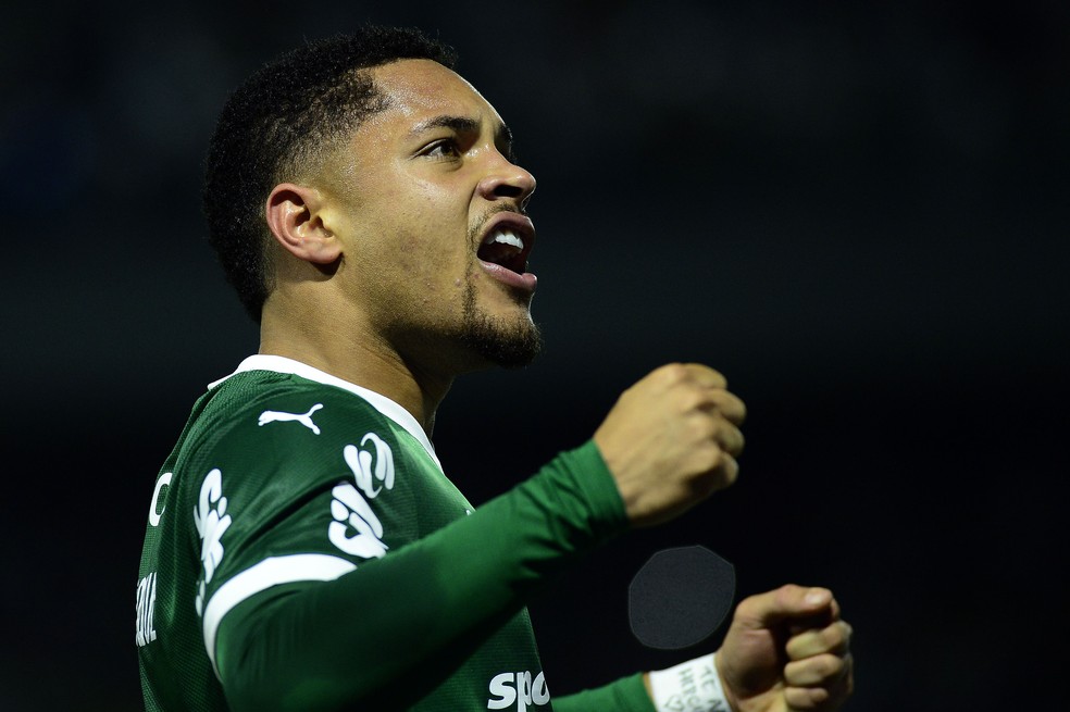 Vitor Roque comemora o gol da vitória do Palmeiras sobre o São Paulo pelo Campeonato Brasileiro (Foto: Marcos Ribolli)