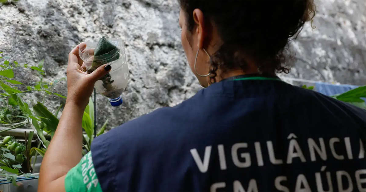 Aumento de infecções transmitidas por animais preocupa especialistas em saúde pública