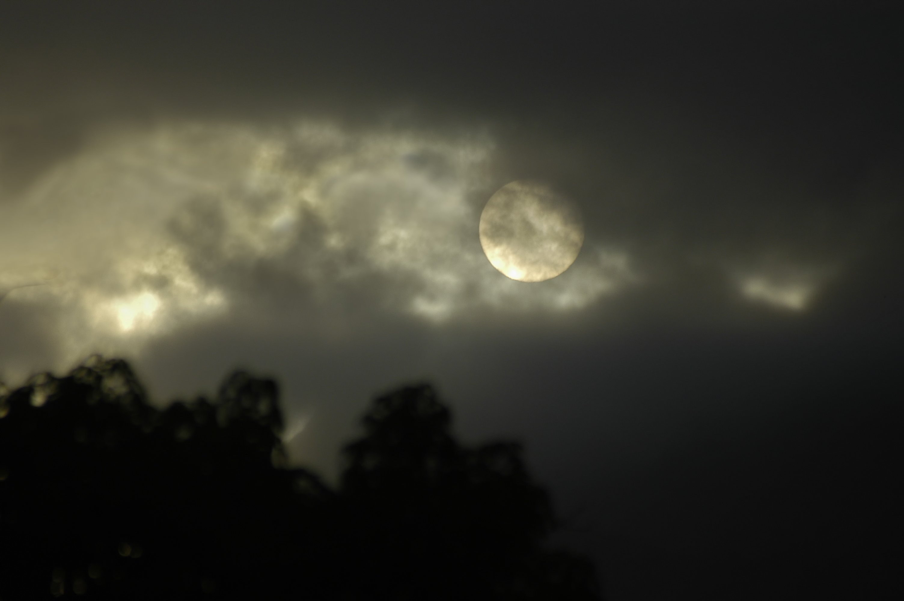 Lua do Veado ilumina o céu em julho; saiba como observar o fenômeno astronômico