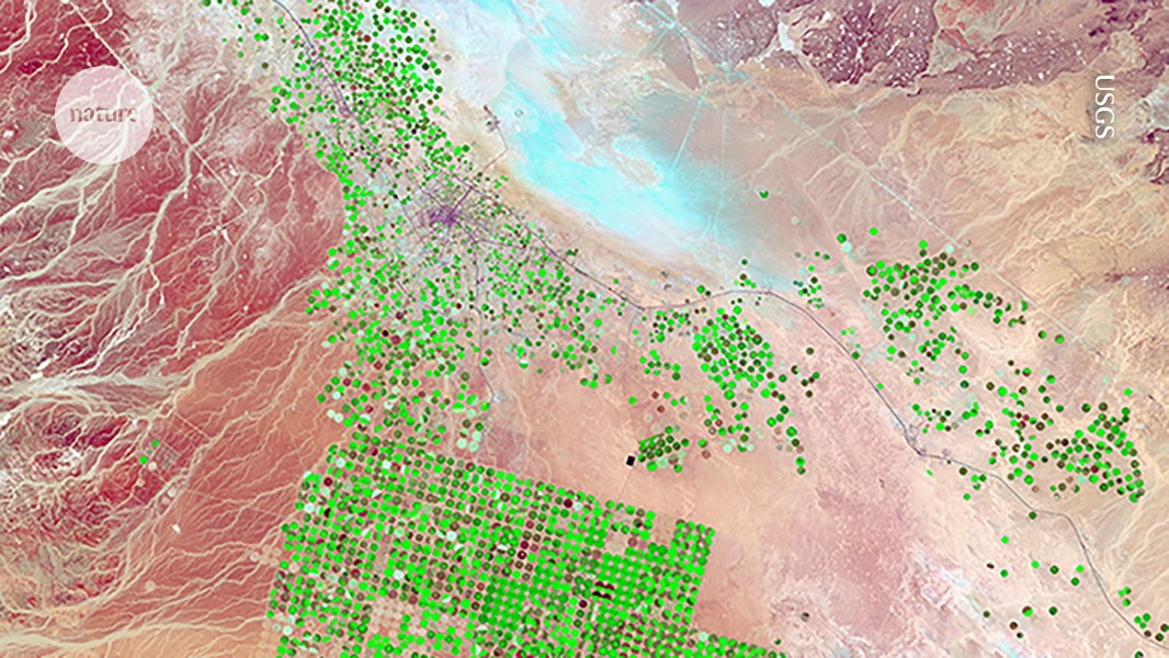 Google cria modelo de IA que gera mapas da Terra com trilhões de imagens