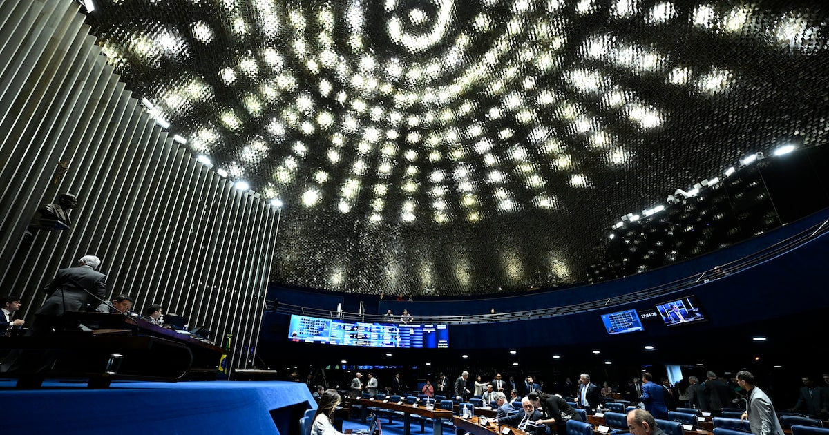Senadores buscam estreitar laços com EUA e discutir tarifas comerciais