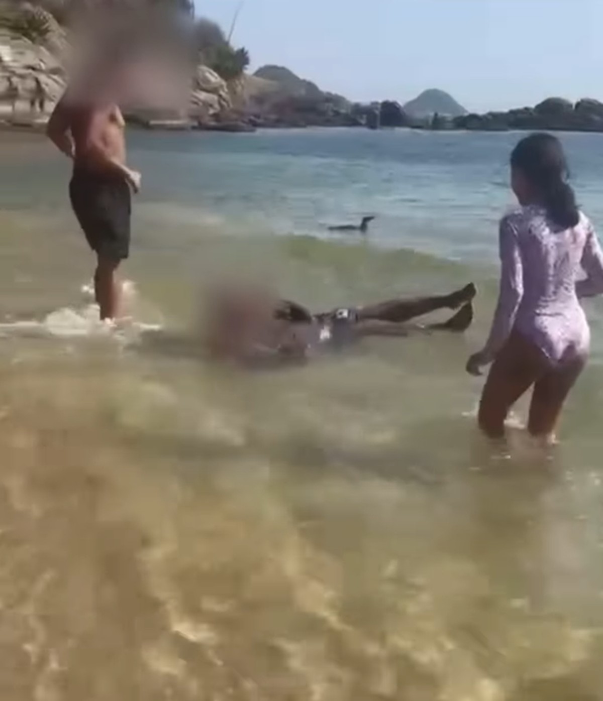 Maus-tratos a pinguins em praias do Rio e Niterói geram revolta nas redes sociais