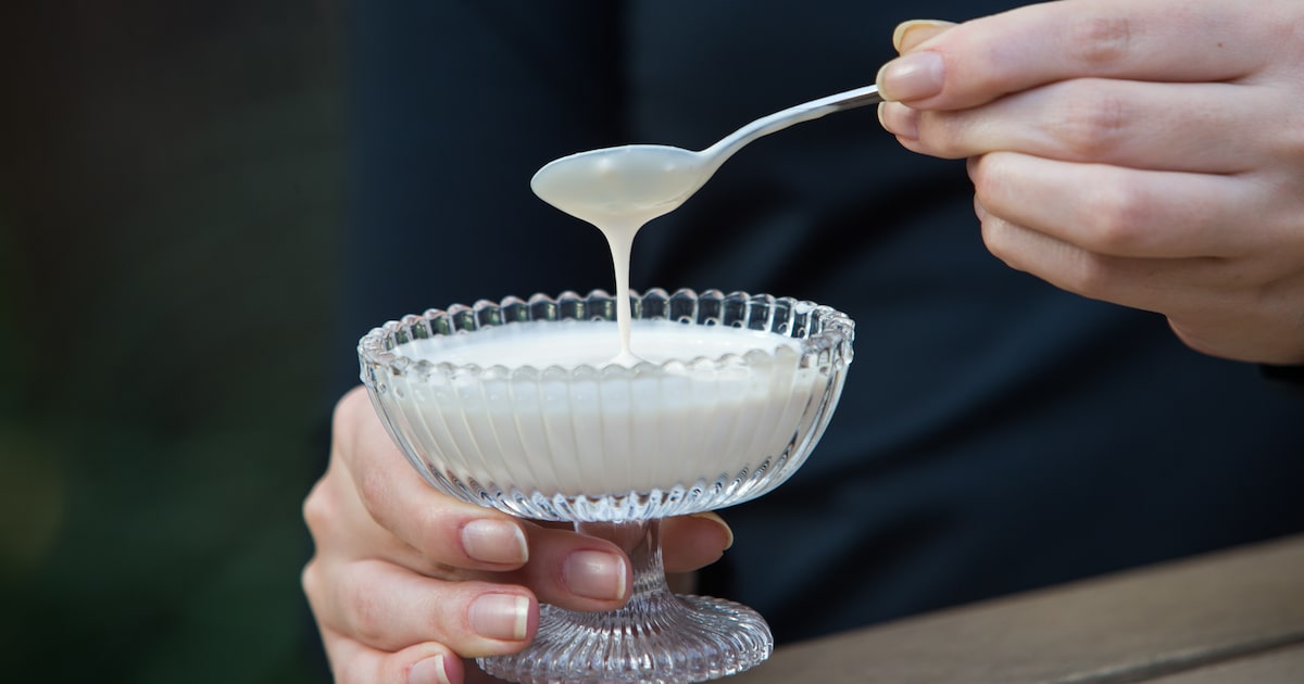 Descubra qual creme de leite é ideal para suas receitas na cozinha