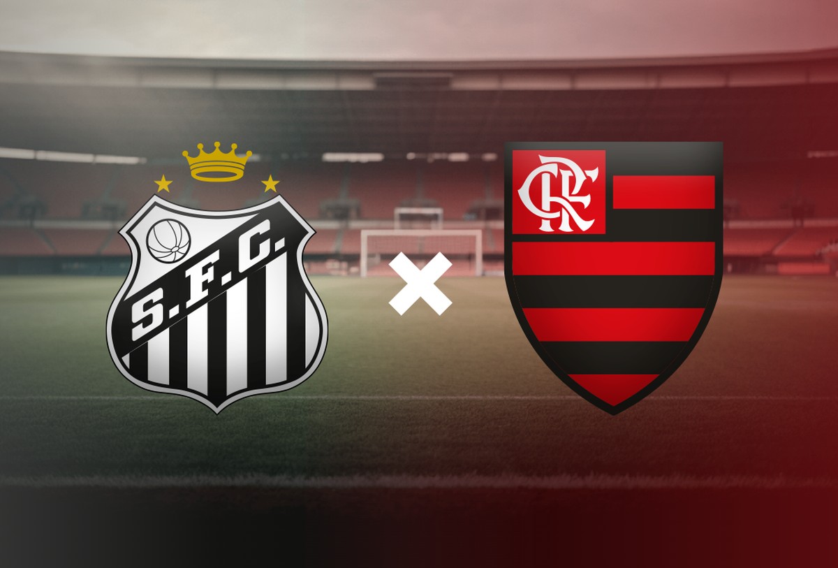 Santos e Flamengo se enfrentam no Brasileirão; saiba onde assistir ao vivo