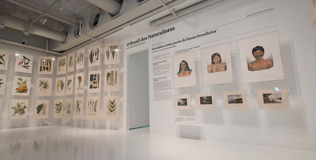 Nova forma de explorar o Espaço Olavo Setubal