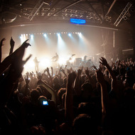 Small bloodybeetroots 038