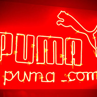 Small puma tag