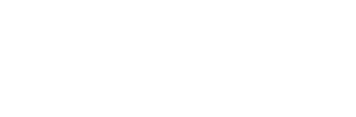 InverSur Capital logo
