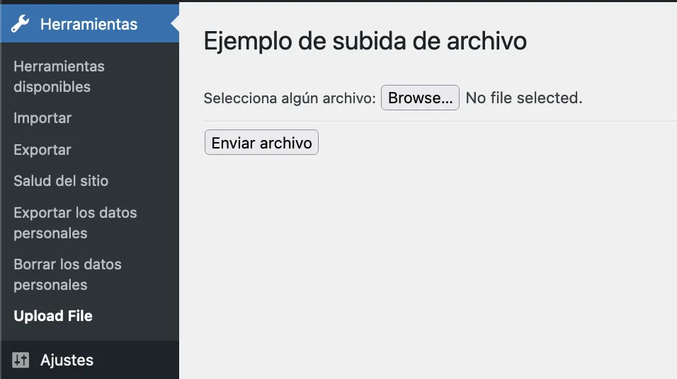 Subida de archivos personalizada en WordPress