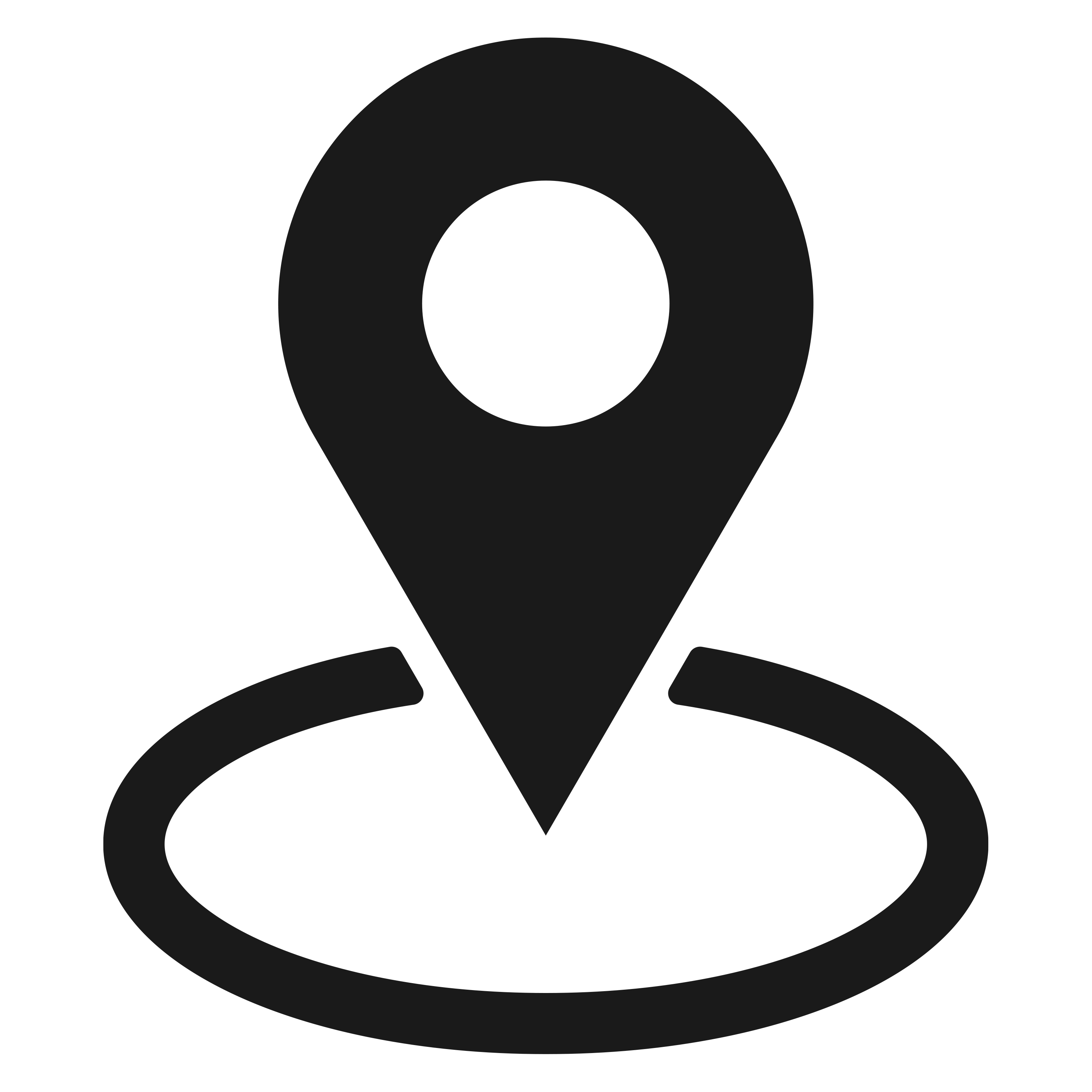Location Icon
