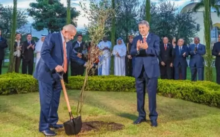 Por que Lula não pede para o Hamas libertar o refém brasileiro?