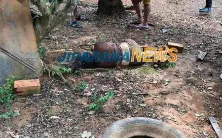 Tragédia - Cachorros matam casal na Zona Rural de Presidente Médici