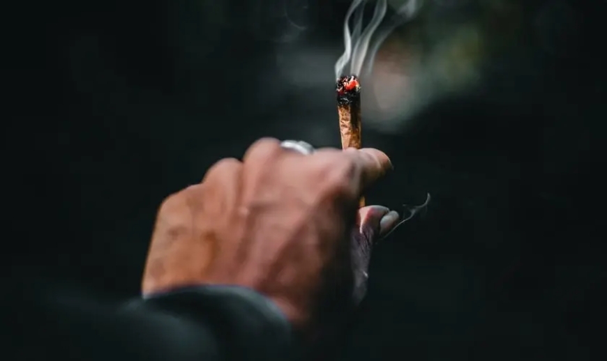 Debate sobre PEC de criminalização das drogas aquece no Senado, enquanto estudo aponta riscos cardiovasculares do uso de maconha
