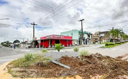 Falta de civilidade causa dano em canteiro de Ji-Paraná